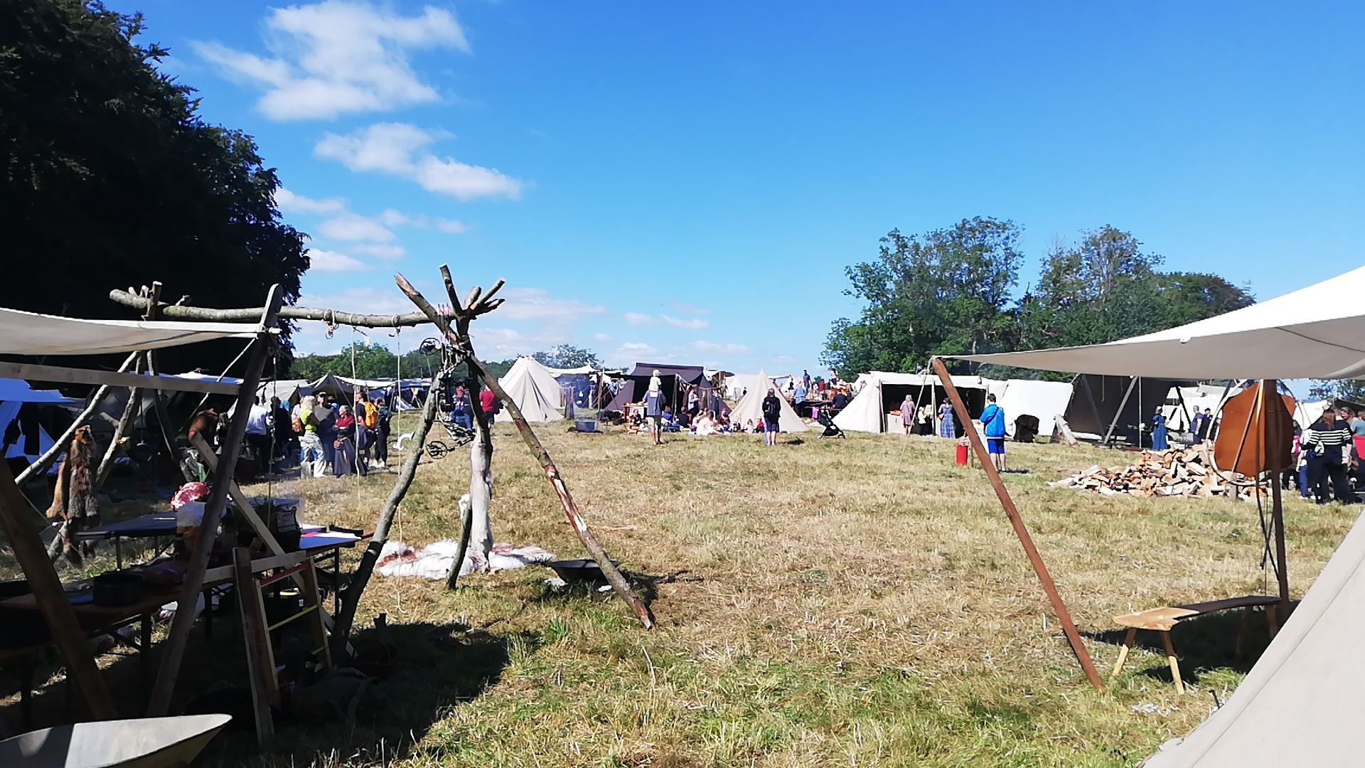 Moesgaard Viking Days 2022