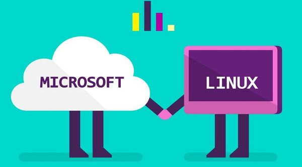 Using Linux in a Microsoft based business